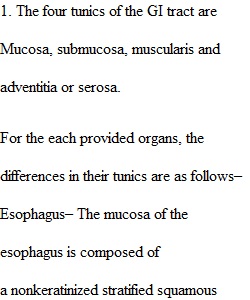 Digestive System Assignment